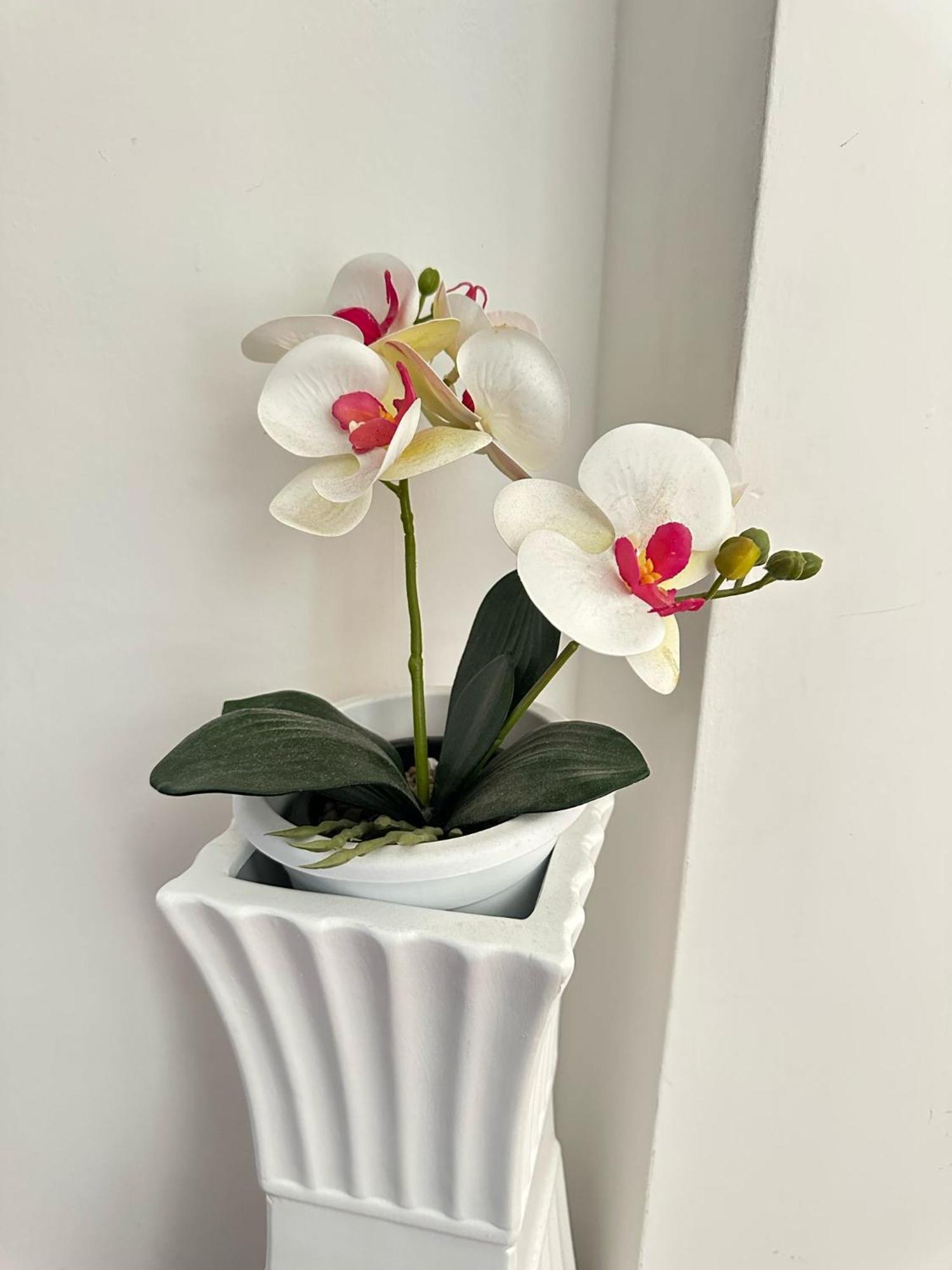 Trastevere Rome'S Heart Charming & Cozy Appartment 3 Buitenkant foto