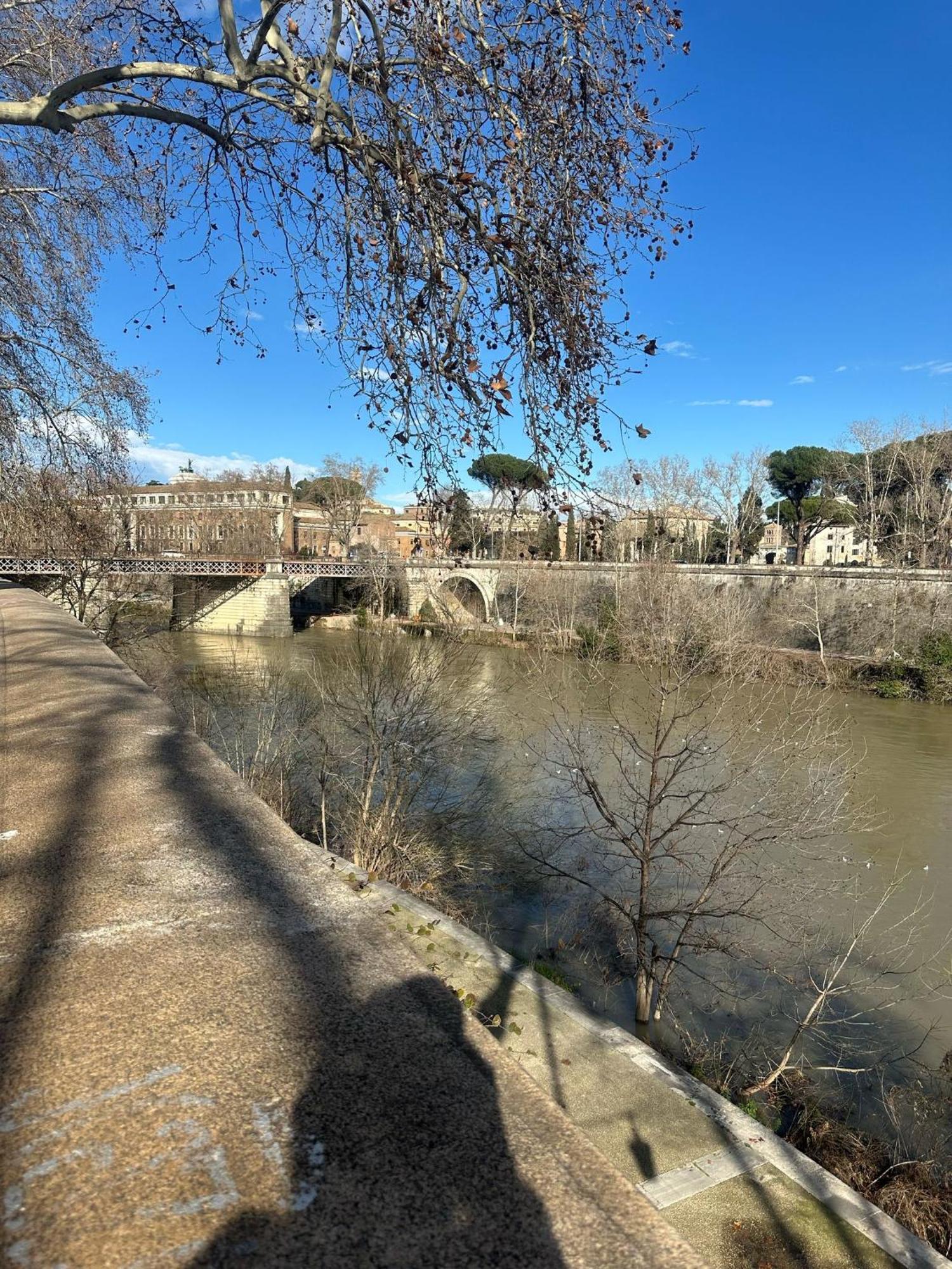 Trastevere Rome'S Heart Charming & Cozy Appartment 3 Buitenkant foto